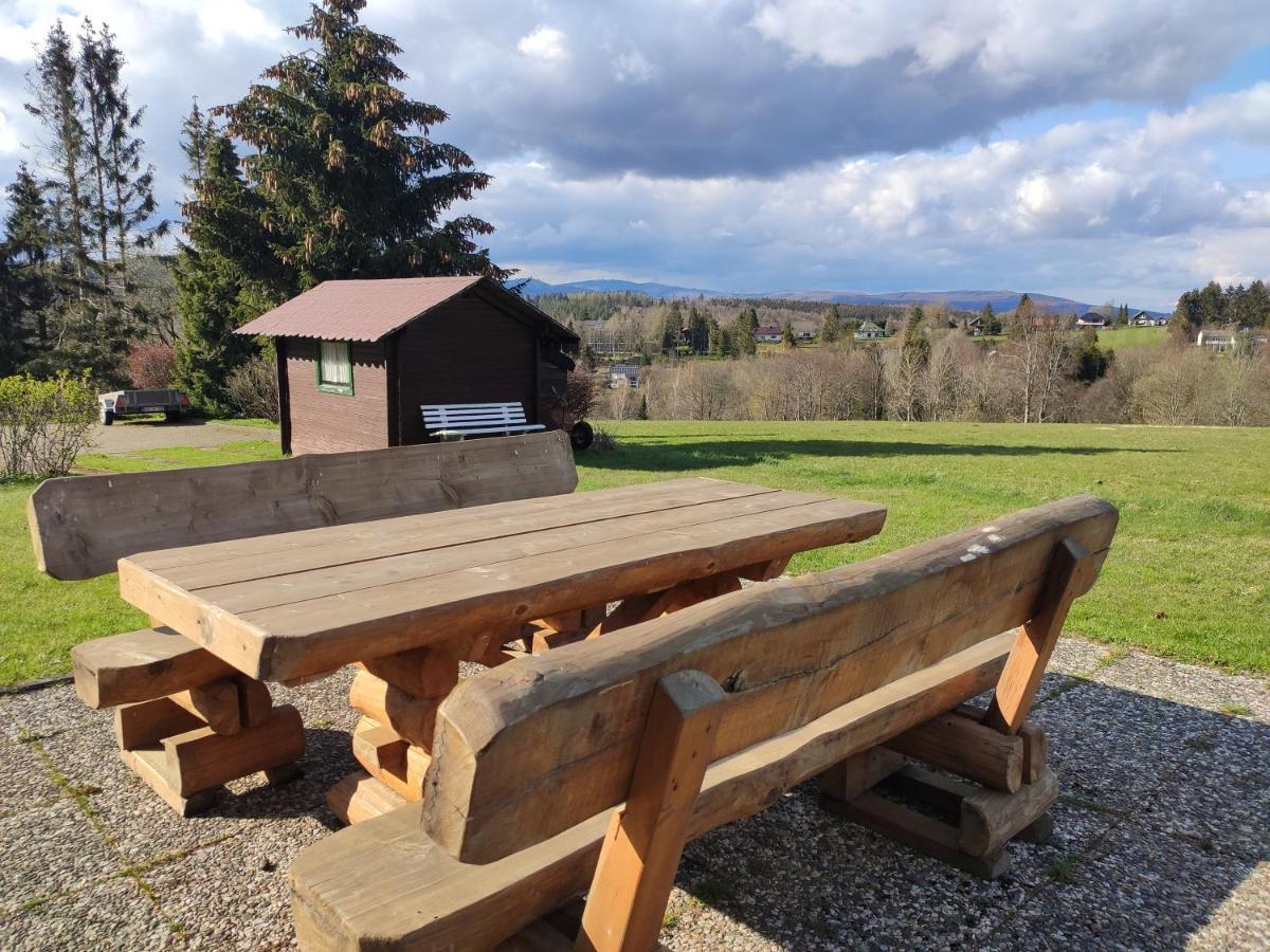 Ferienwohnung Harzluchs Mit Balkon, Netflix Und Sauna Im Haus Hohegeiss Exterior photo