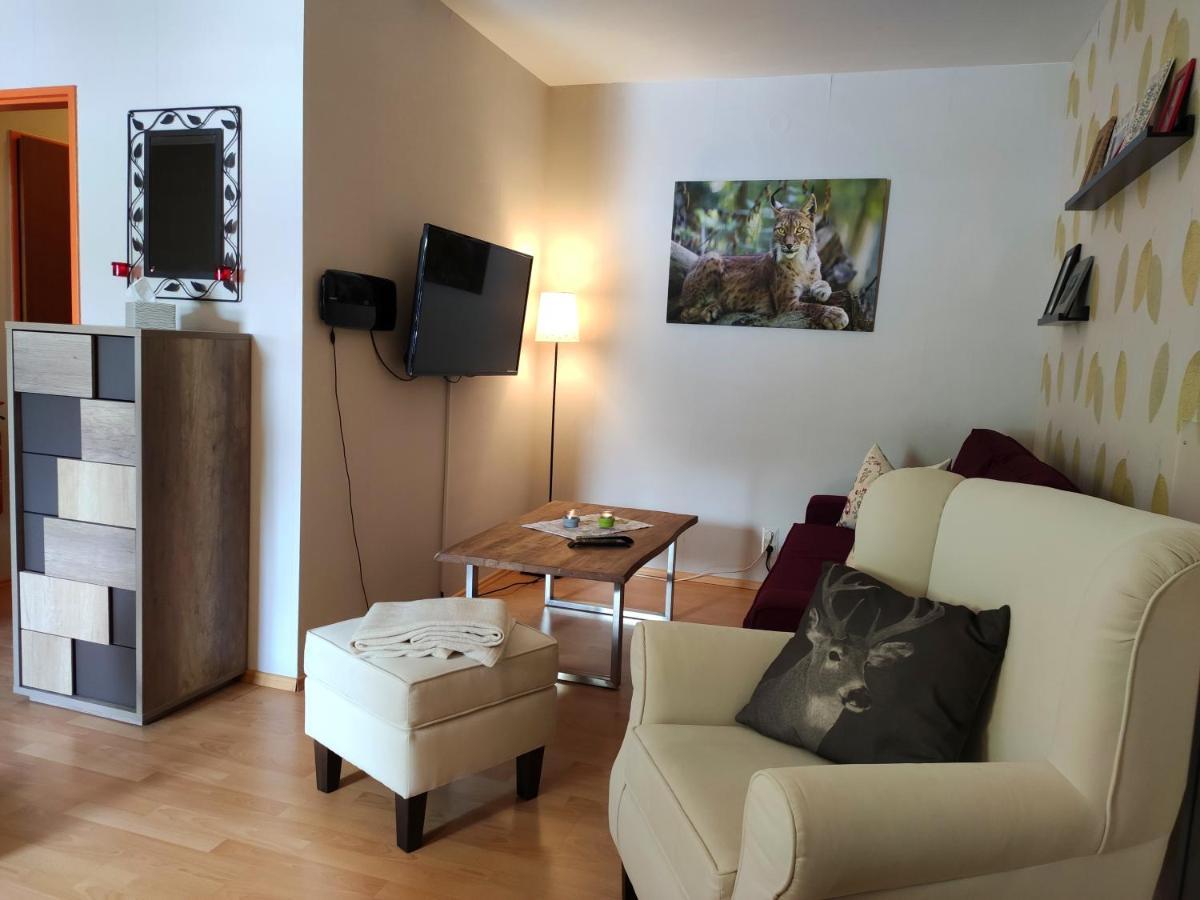 Ferienwohnung Harzluchs Mit Balkon, Netflix Und Sauna Im Haus Hohegeiss Exterior photo